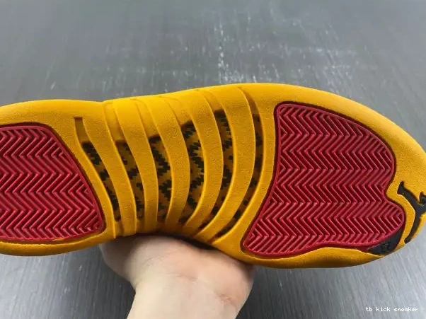 Reps TBK China Years in Air 25 Jordan 12 DR8887-100 0327